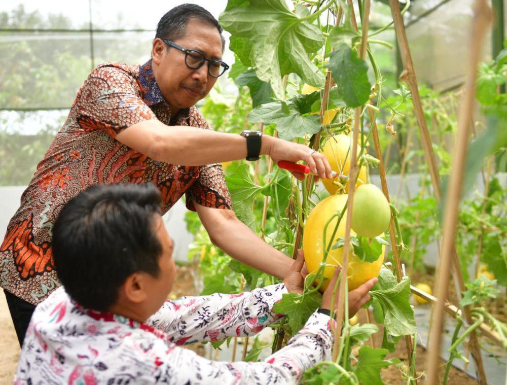 Kementerian Pertanian Jadikan Indramayu Percontohan IMMACo