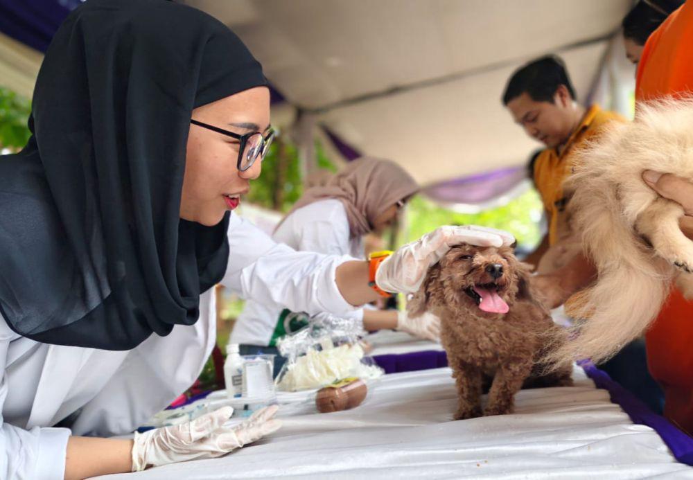 Pemkot Bandar Lampung Vaksin Rabies Gratis 2.235 Hewan Peliharaan