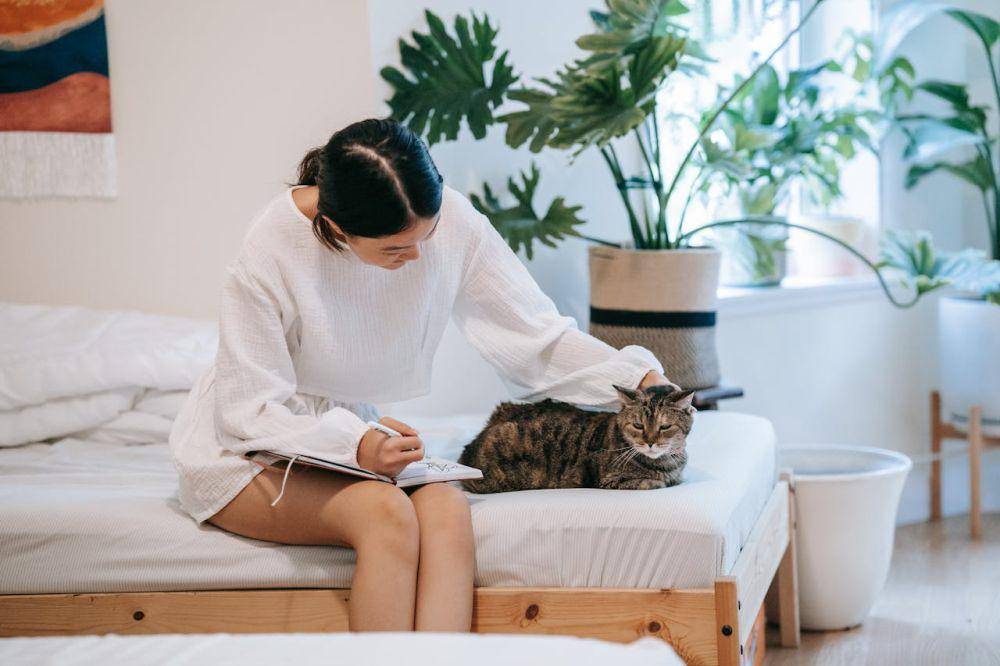 ilustrasi menulis jurnal sebelum tidur (pexels.com/Sasha Kim)