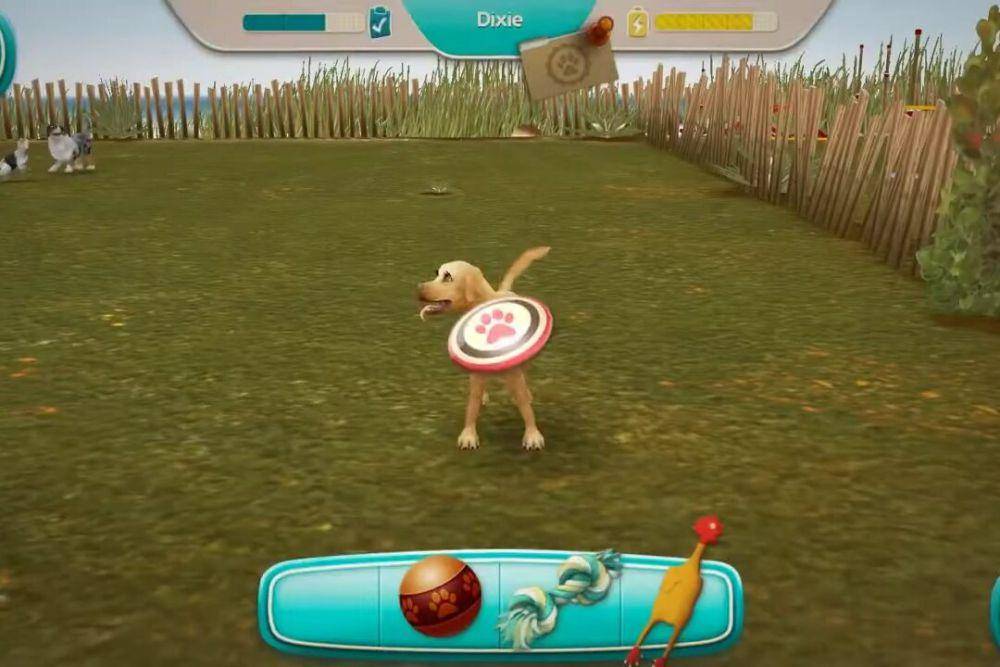 Dog Hotel: Pet Boarding Simulator gameplay (YouTube/iGamesView)