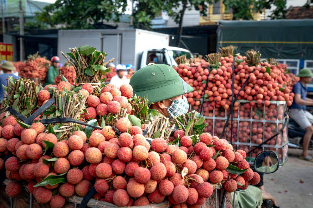 ilustrasi buah leci (pexels.com/Quang Nguyen Vinh)