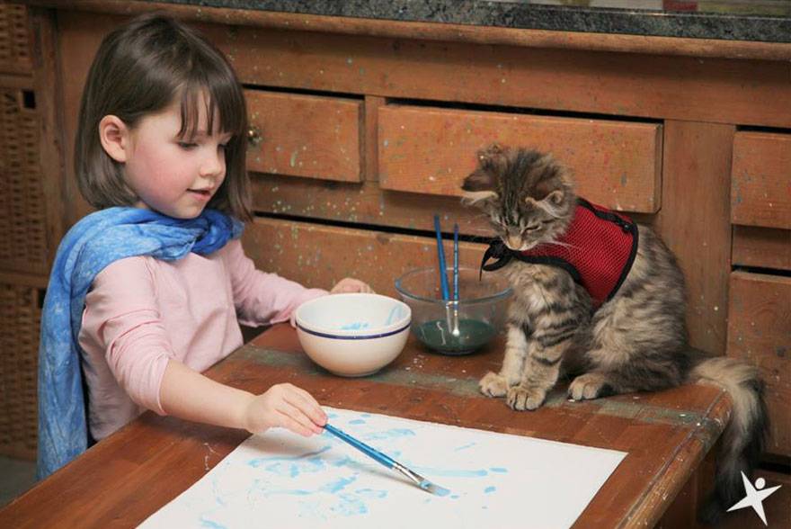 foto lucu kucing bantu anak kecil ngerjain PR (reddit.com/StephanieRhodes)