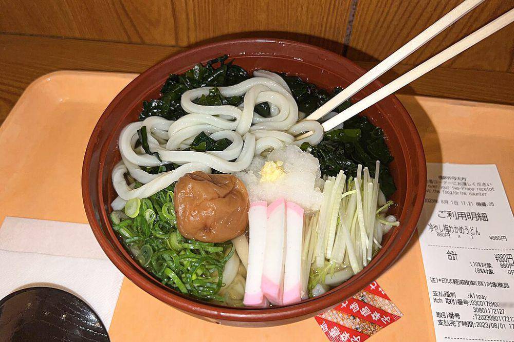 ilustrasi acar plum yang disajikan bersama udon (commons.wikimedia.org/N509FZ)