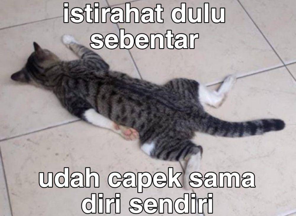 meme capek sama diri sendiri (x.com/shitegoblin)
