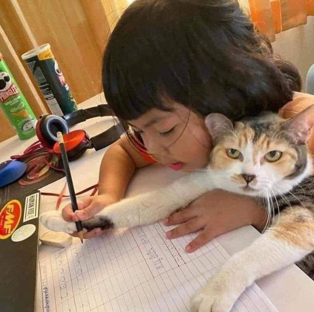 foto lucu kucing bantu anak kecil ngerjain PR (x.com/CatWorkers)
