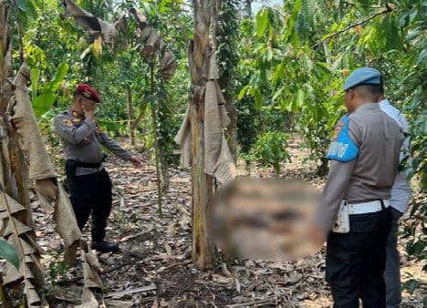 Mayat Anonim di Kebun Warga Pringsewu, Tubuh bak Terbakar