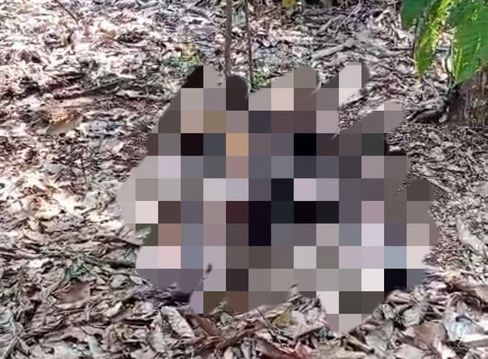 Penampakan penemuan jasad anonim di kebun milik warga di Kabupaten Pringsewu. (Dok. Polres Pringsewu).