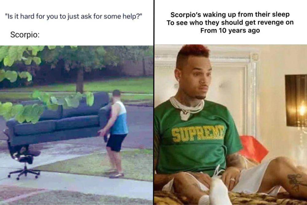 kolase meme zodiak Scorpio (reddit.com/daisy_rosy I reddit.com/barbaricMeat)