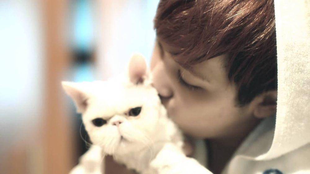 cuplikan MV "Memory" (youtube.com/@ftisland)