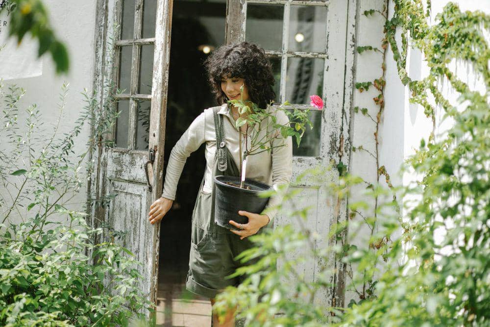 5 Tips Mencegah Serangan Hama dan Serangga di Musim Hujan