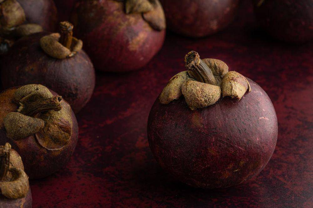 ilustrasi buah manggis (pexels.com/Skyler Ewing)