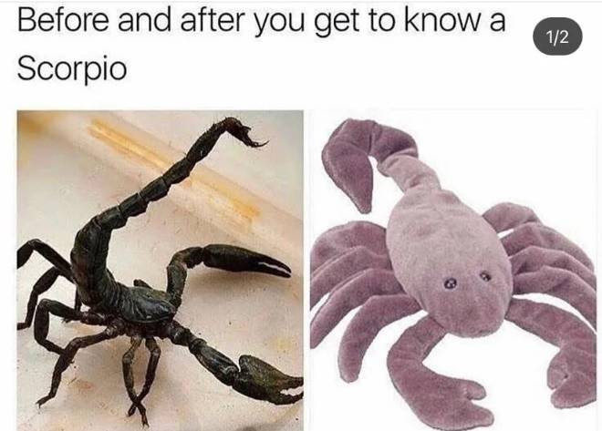 meme zodiak Scorpio (reddit.com/Chemical-Mirror-3795)