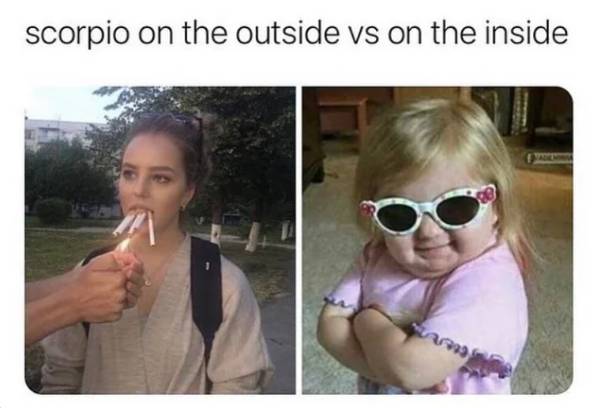 meme zodiak Scorpio (reddit.com/divynedreamer)