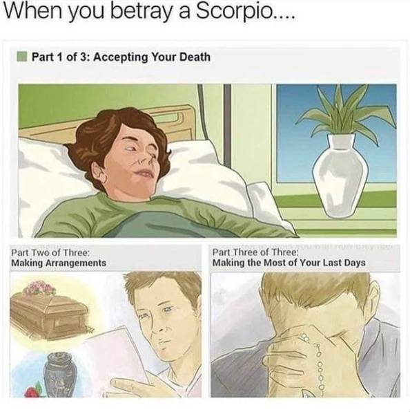 meme zodiak Scorpio (reddit.com/OldPuppy00)