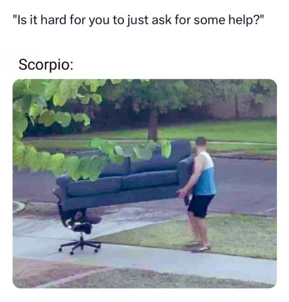 meme zodiak Scorpio (reddit.com/daisy_rosy)