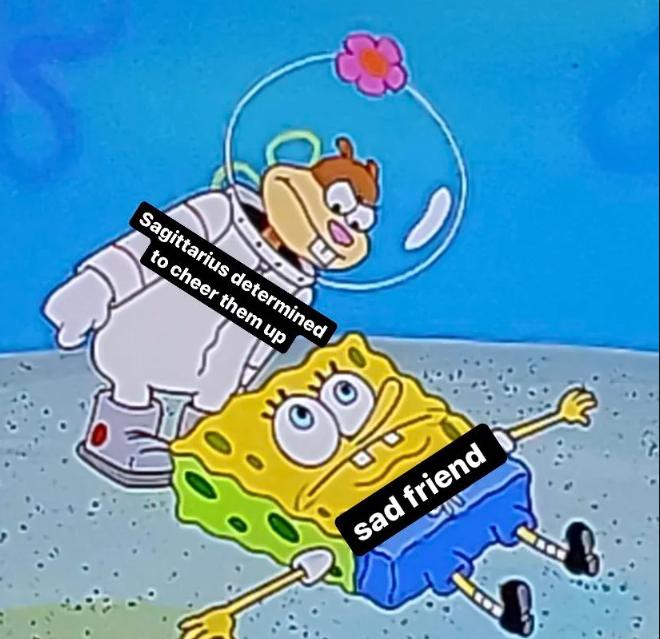 meme zodiak Sagitarius (reddit.com/poplapmeisiekind)