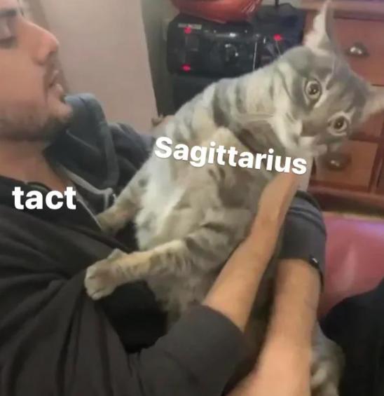 meme zodiak Sagitarius (reddit.com/poplapmeisiekind)