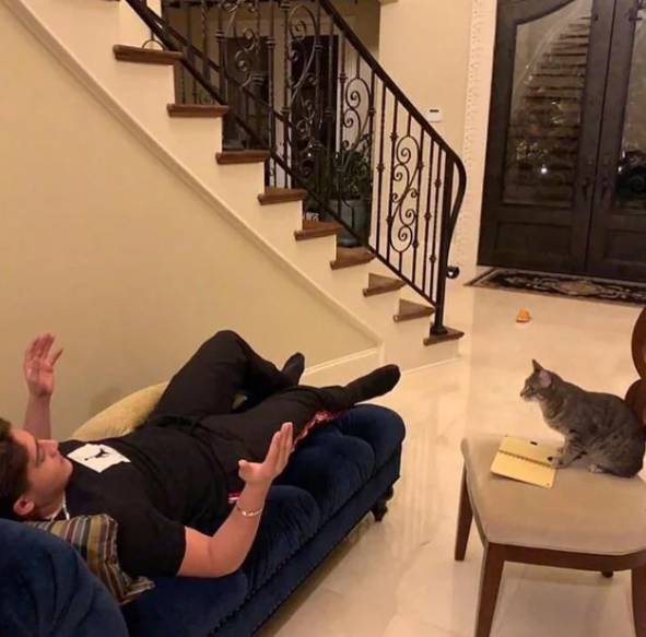 foto lucu kucing jadi konselor hooman (reddit.com/TheFormulaS)