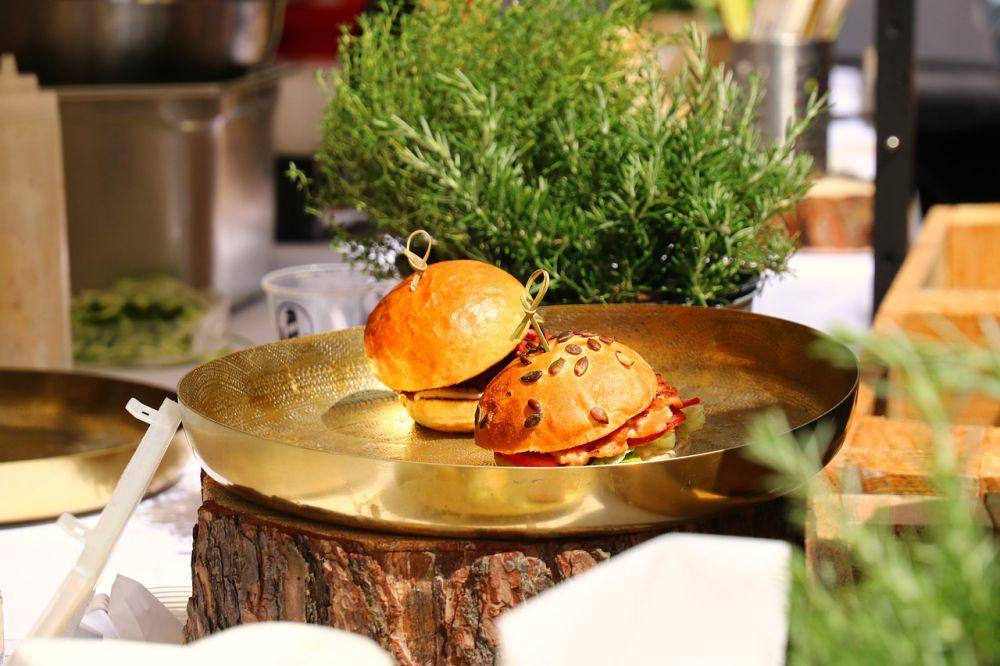 ilustrasi burger tempe barbekyu (pixabay.com/katerinavulcova)