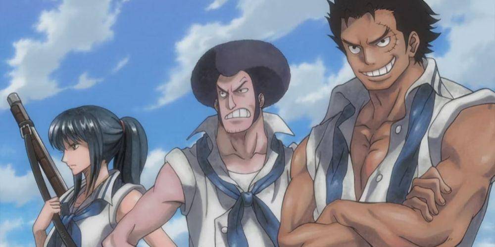 Toei Animation/One Piece