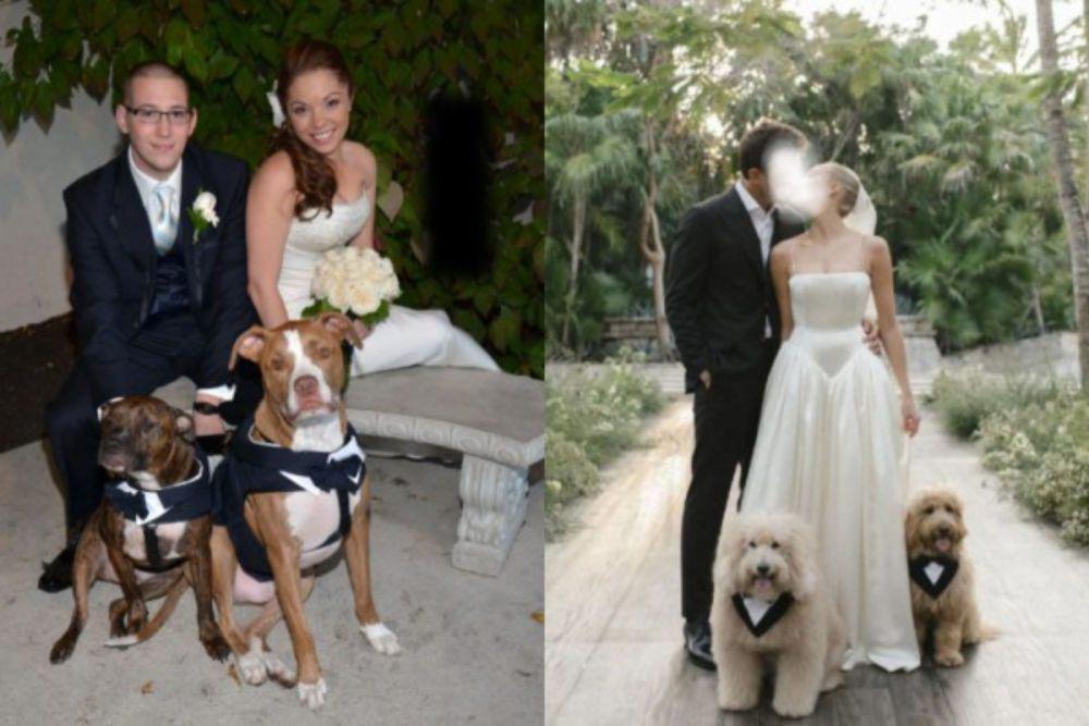 7 Foto Gemas Sepasang Anjing di Pernikahan Hooman, Ikut Rayain!