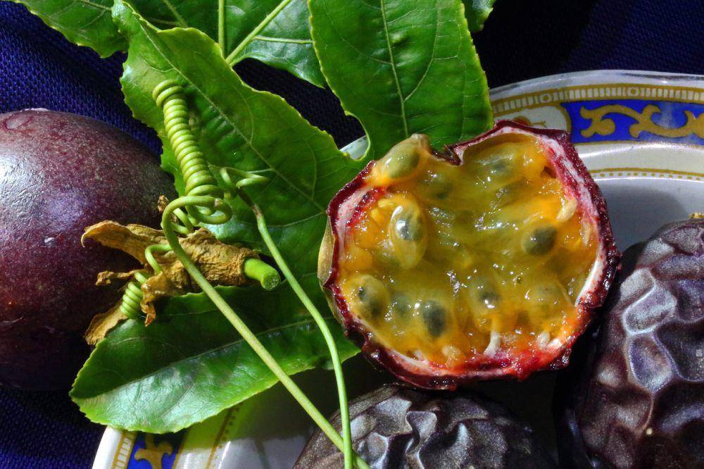 buah markisa (pixabay.com/Bluesnap)