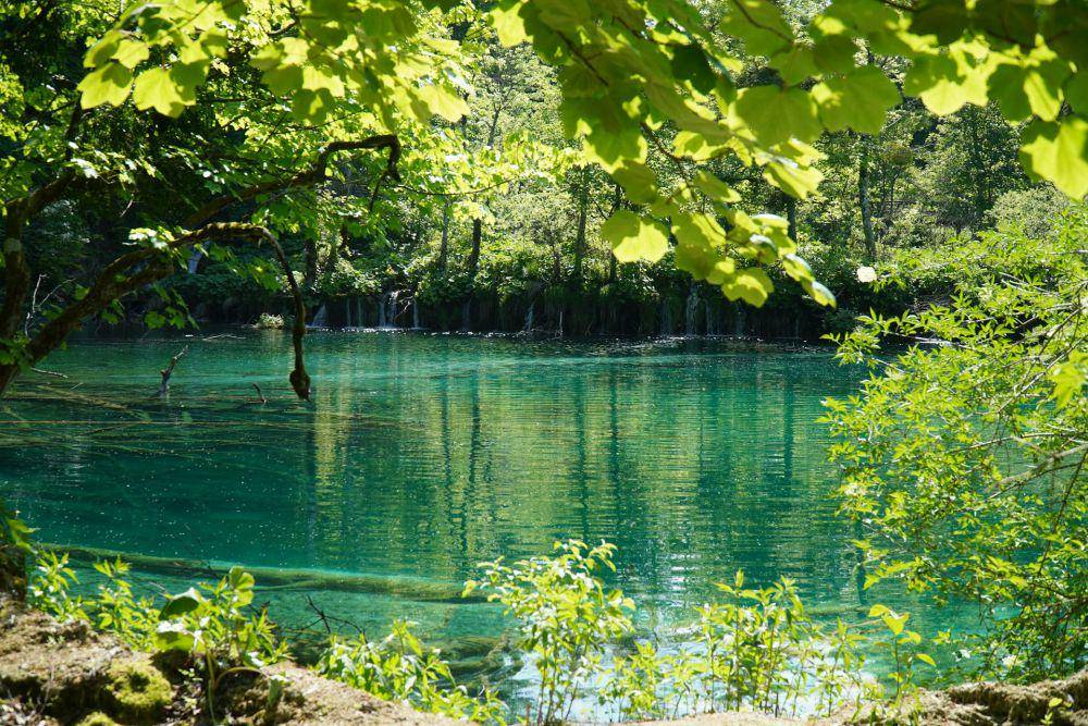 Plitvice Lakes (unsplash.com/Karolina Kołodziejczak)