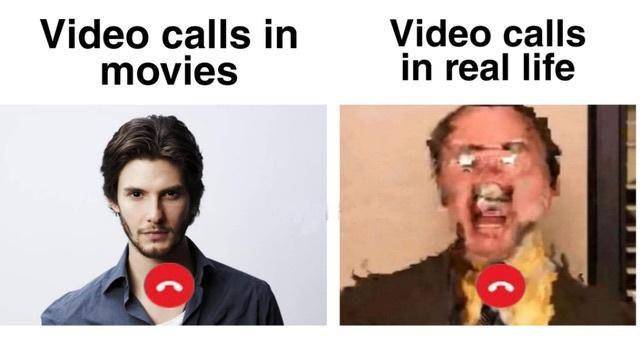 meme ekspektasi vs. realitas video call (reddit.com/History0470)