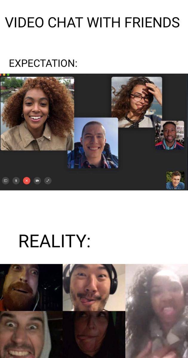 meme ekspektasi vs. realitas video call (reddit.com/youcanteatthatsir)