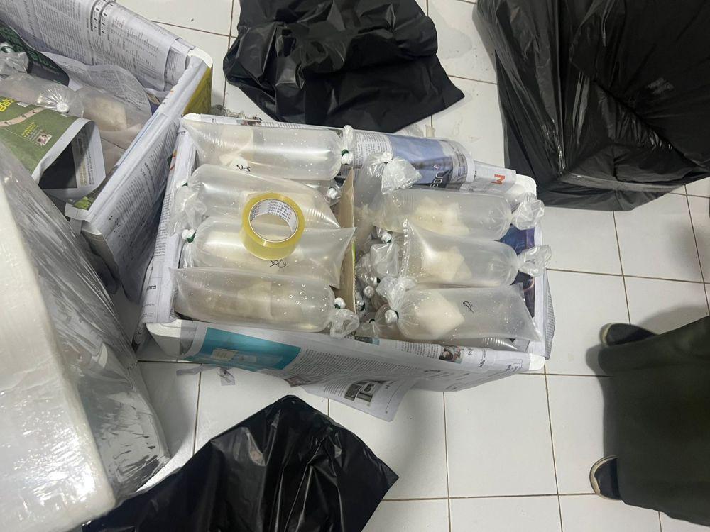 149 Ribu Benih Lobster Ilegal Disita di Lamteng, 14 Pelaku Diciduk!