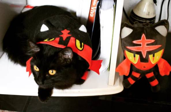 potret lucu kucing cosplay Pokémon (reddit.com/momokoplayer)