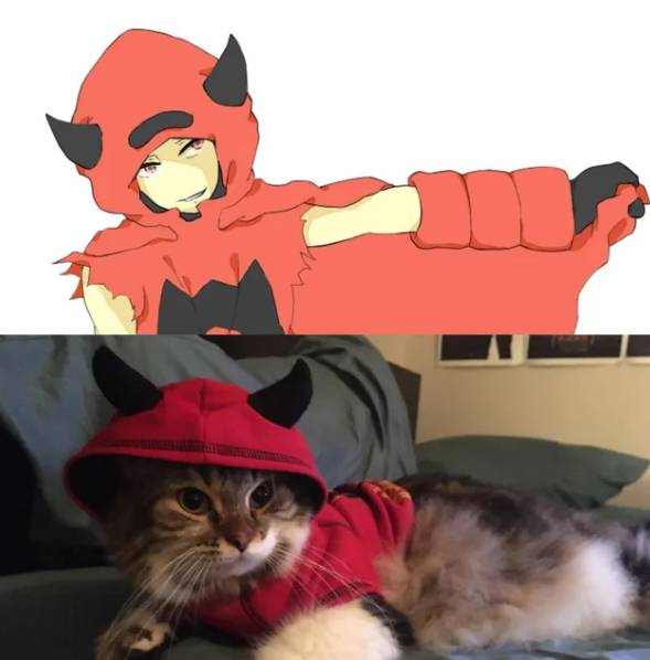 potret lucu kucing cosplay Pokémon (reddit.com/onederful)