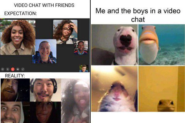 7 Meme Ekspektasi vs. Realitas pas Video Call