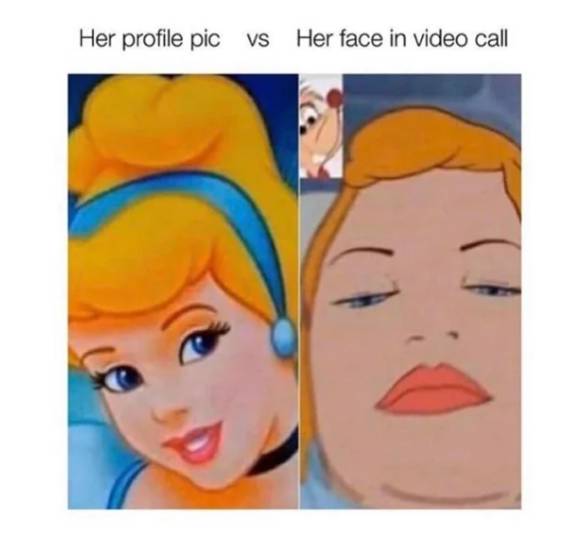 meme ekspektasi vs. realitas video call (reddit.com/Gammont360)