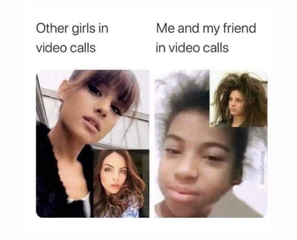 meme ekspektasi vs. realitas video call (reddit.com/atavisticgnome)