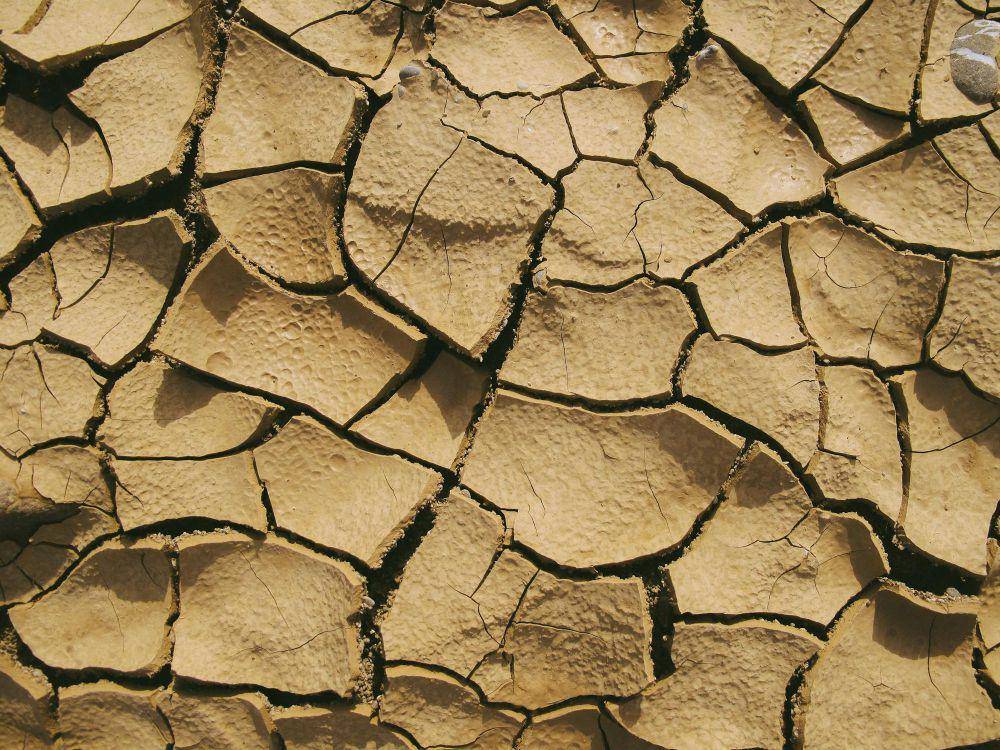 ilustrasi gempa Bumi (pexels.com/Francesco Ungaro)