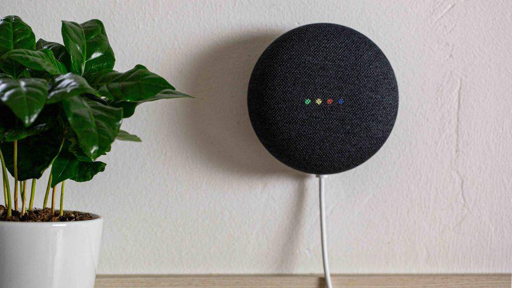 potret Google Nest Mini (store.google.com)