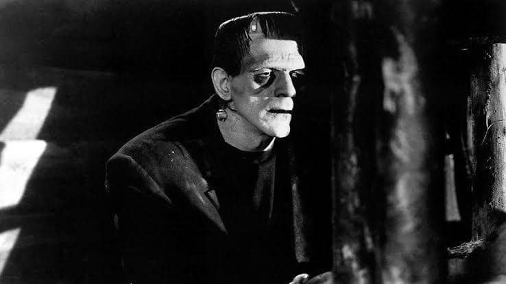 Frankenstein (dok. Universal Pictures/Frankenstein)