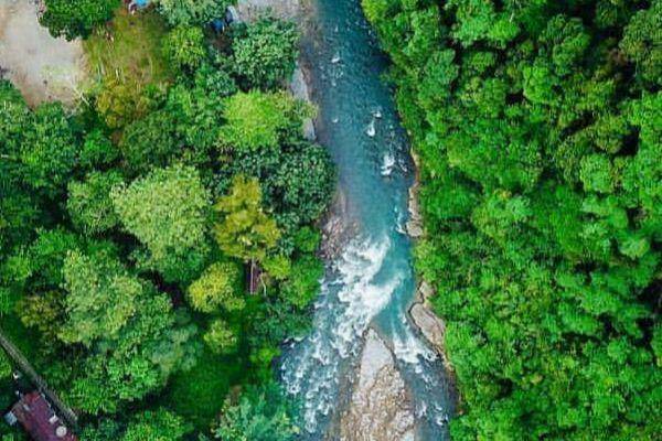 Taman Nasional Gunung Leuser (instagram/kotacane.acehtenggara)