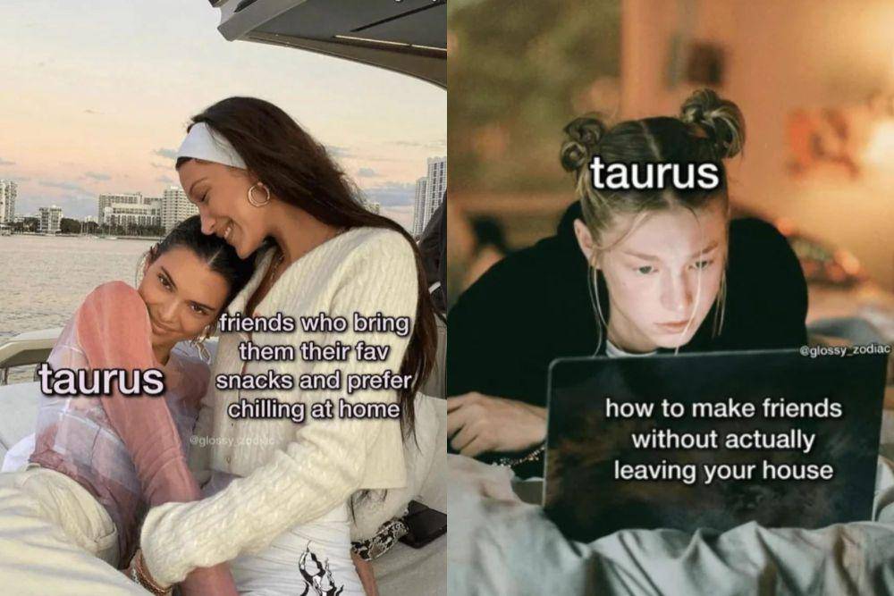 kolase meme kelakuan orang dengan zodiak Taurus (reddit.com/brimarcam I reddit.com/brimarcam)