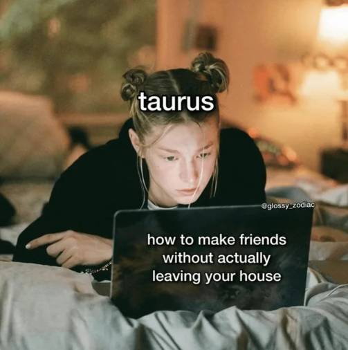 meme kelakuan orang dengan zodiak Taurus (reddit.com/brimarcam)