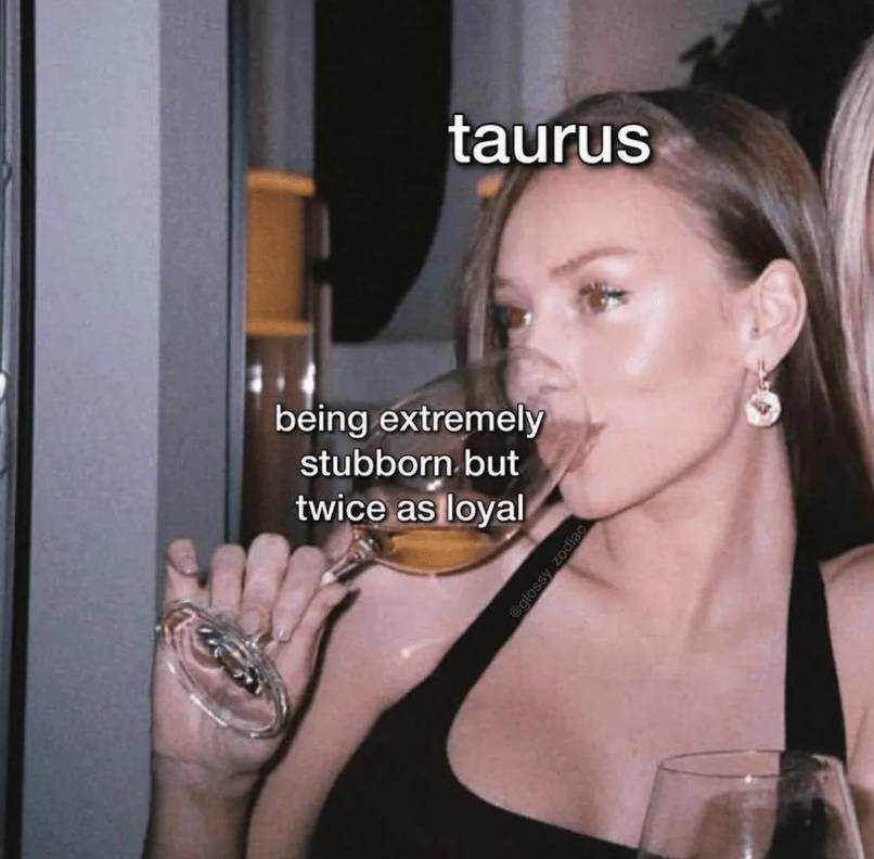 meme kelakuan orang dengan zodiak Taurus (reddit.com/brimarcam)