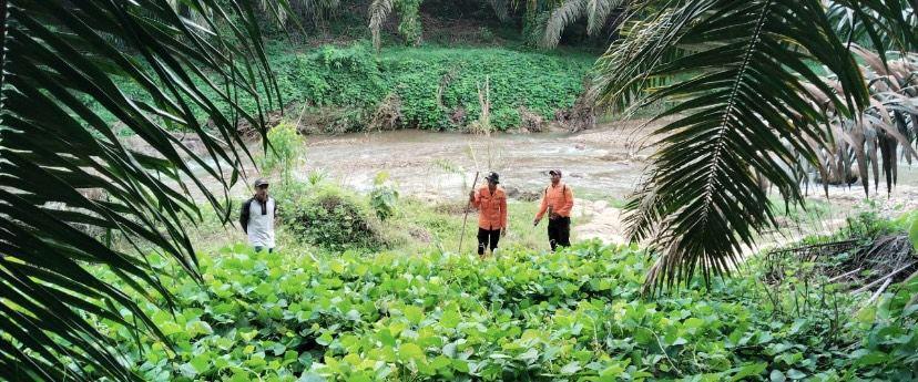 Syahroni Munthe 3 Hari Hilang di Hutan Akhirnya Ditemukan Selamat