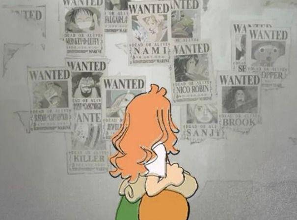 Toei Animation/One Piece