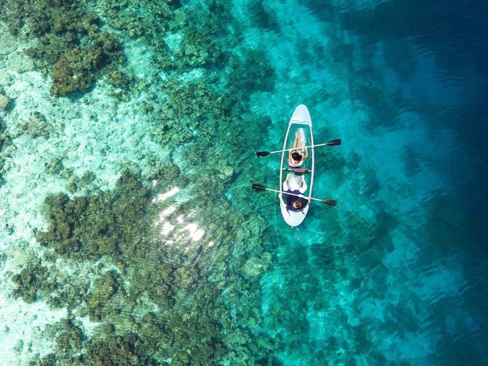 potret terumbu karang di laut (pexels.com / Asad Photo Maldives)