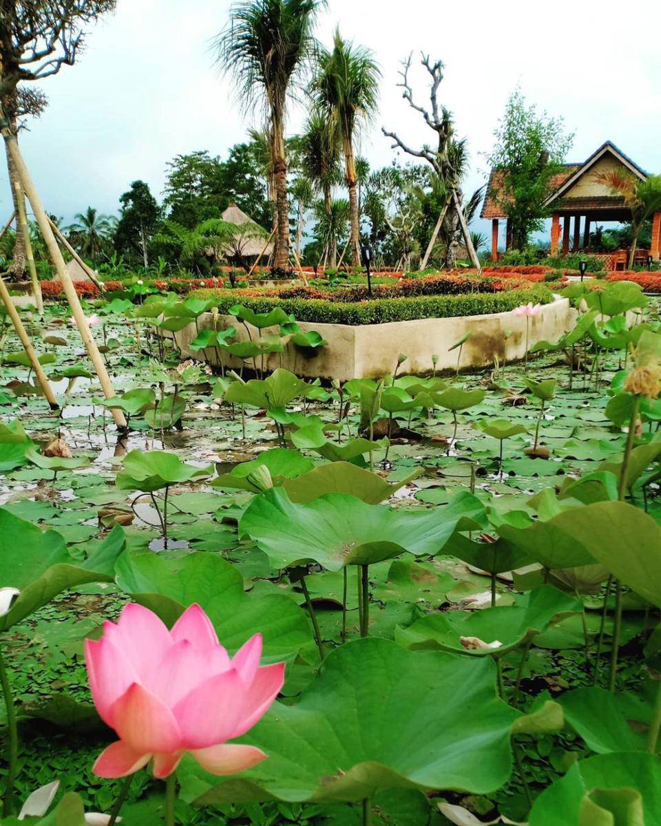 Taman Kunang-Kunang (instagram.com/thefirefliesgarden)