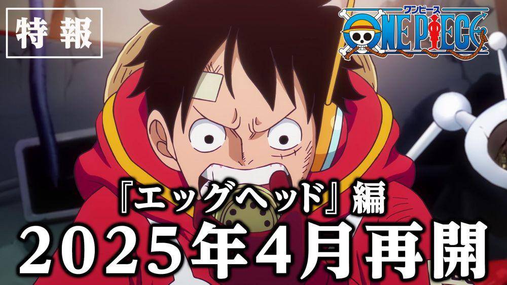 anime One Piece hiatus (dok. Toei Animation/One Piece)