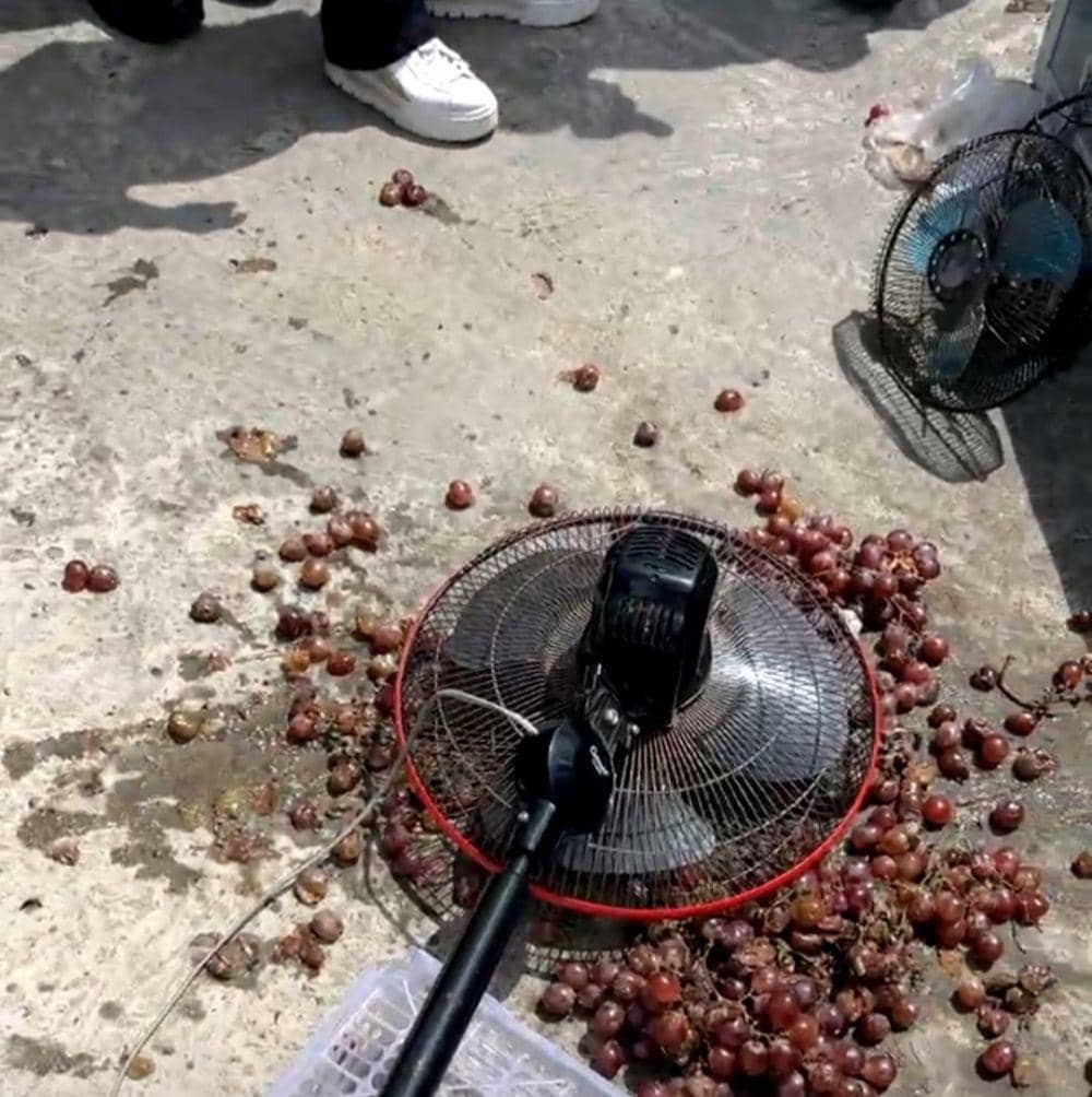 (Puluhan Warga Empat Lawang Protes Bawa Elektronik Rusak ke Kantor PLN) IDN Times/istimewa