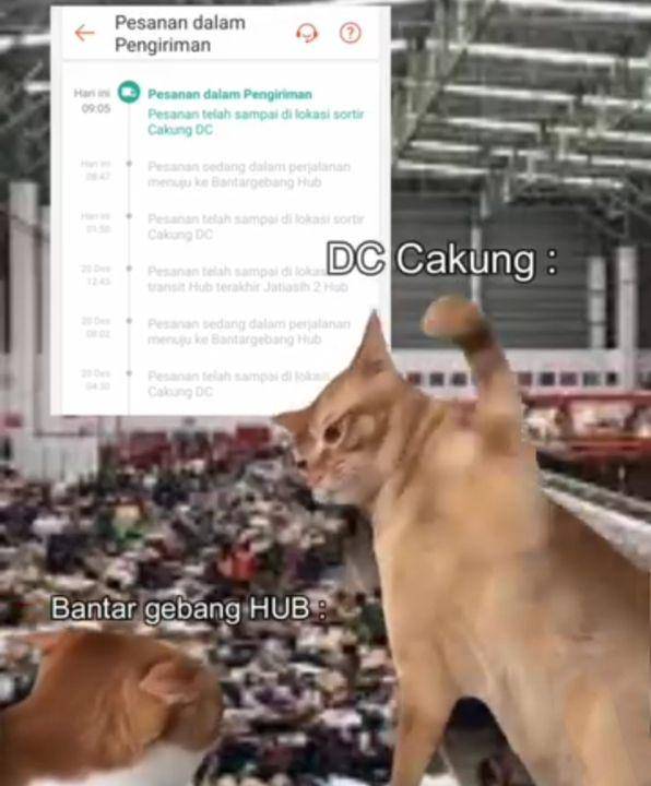meme DC cakung (instagram.com/faenna_ig)