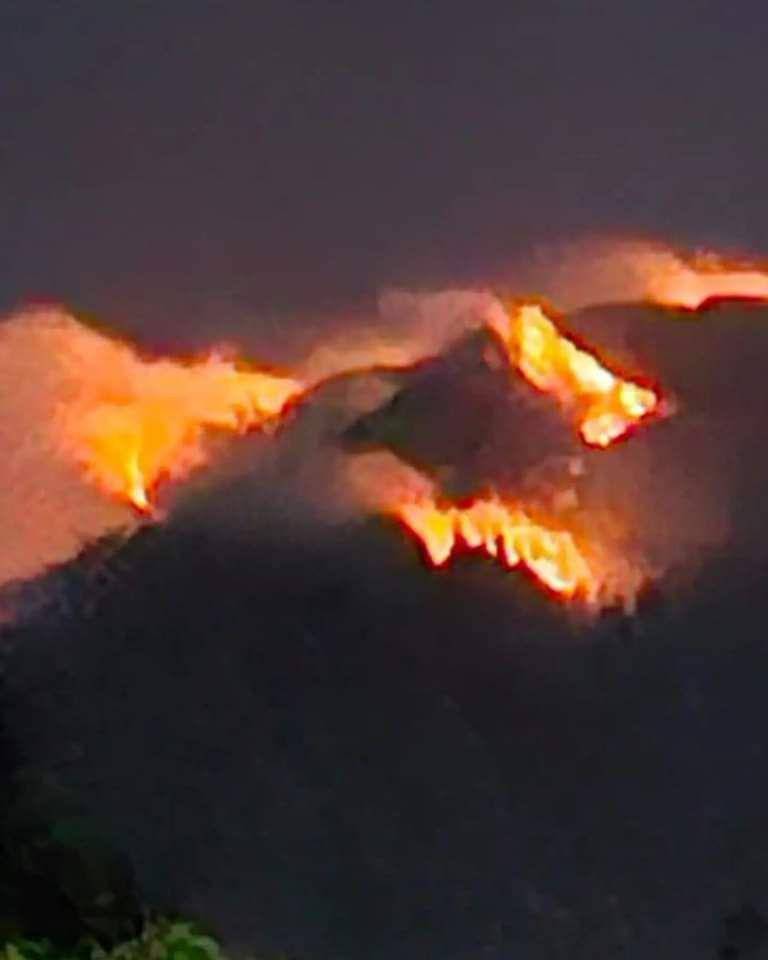 Lokasi Hutan Gunung Agung Terbakar Sulit Dijangkau